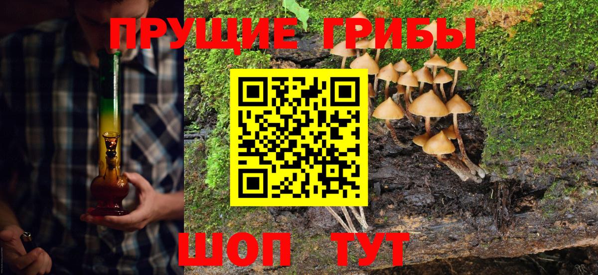 Псилоцибиновые грибы Psilocybine cubensis Лабытнанги